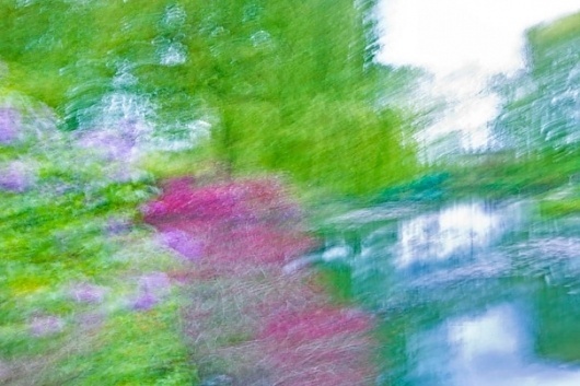 The garden of Monet #photography