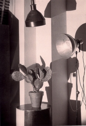 Google Image Result for http://www.escapeintolife.com/wp-content/uploads/2010/10/Cactus-and-the-Photographers-Lamp2-Charles-Sheeler-698x1024.jpg #charles #cactus #sheeler