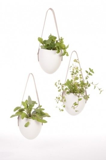 porcelain planters : farrah sit #sit #fara #risd #porcelain #planter