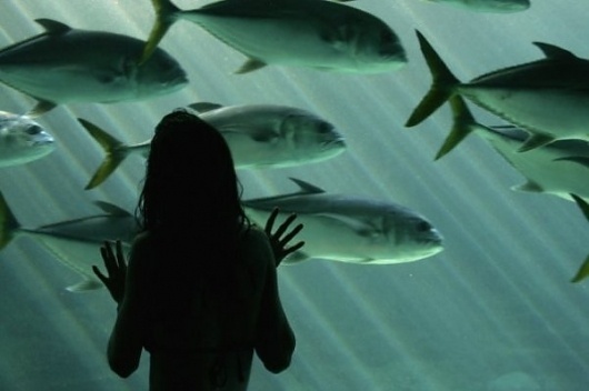 Photography by Lindsey Kemp » Creative Photography Blog #photography