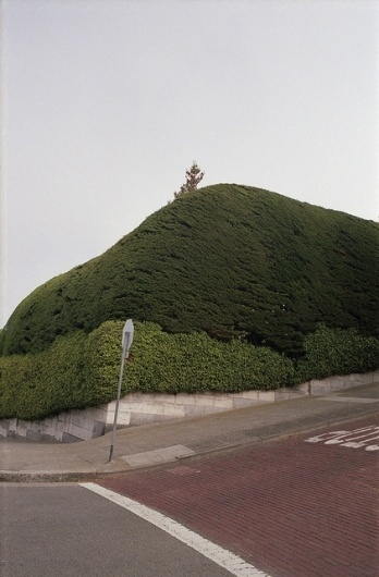 Untitled | Flickr - Photo Sharing! #concrete #plants #photogra #photography #landscapes #trees #green