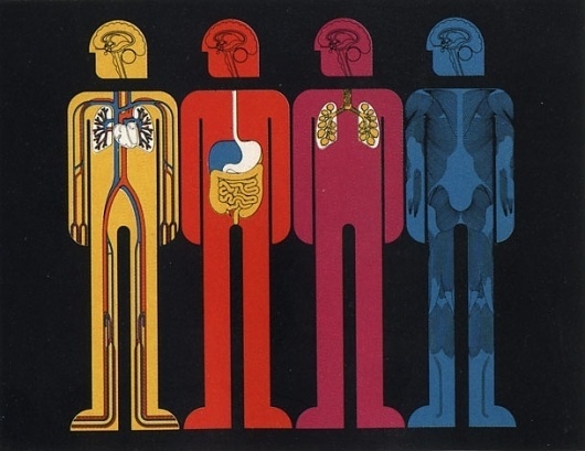 systemsofthebodycopy.jpg 609×471 pixels #design