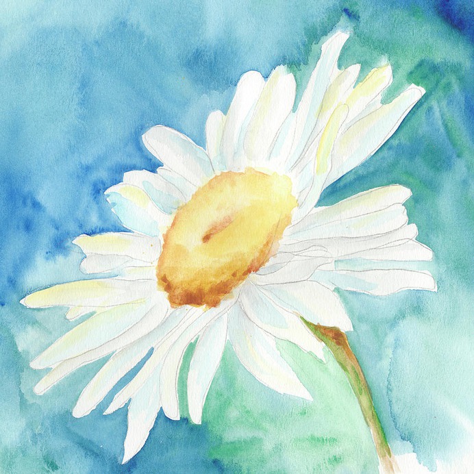 daisy painting & daisy paint by number #painting