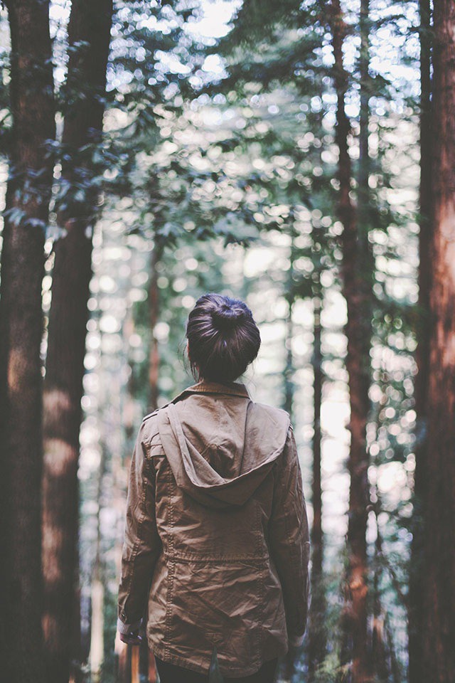 Finch & Fawn : The Redwoods