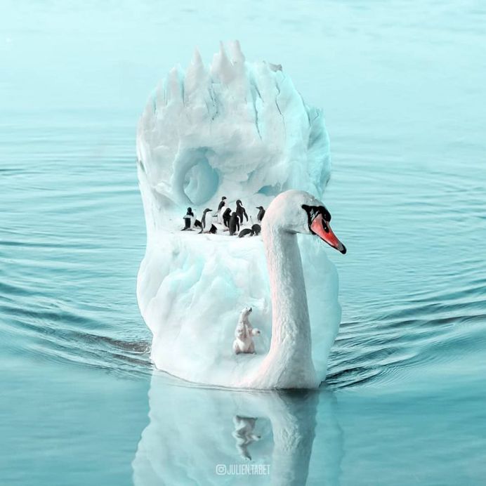 Dreamlike Animals: Whimsical Photo Manipulations by Julien Tabet