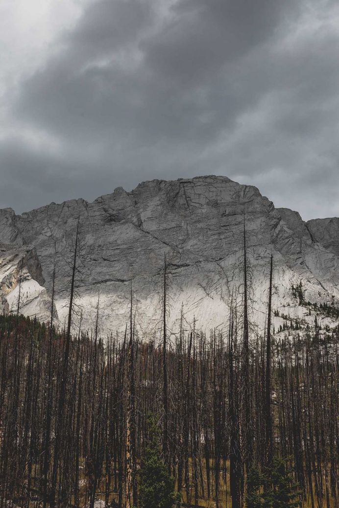 Fragment of BC: Nature Landscape Photography by Alexis Malin