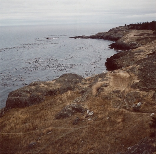 Mikael Kennedy #wilderness #sea #photgraphy