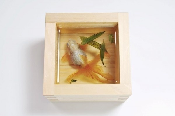 Japanese Artist Paints Breathtakingly Lifelike 3D Goldfish Using Layers Upon Layers OfÂ Resin | RocketNews24 #art