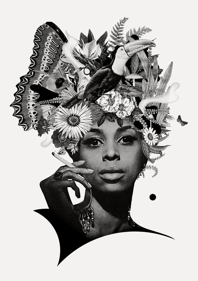 Ciara Phelan #phelan #ciara #botanical #collage