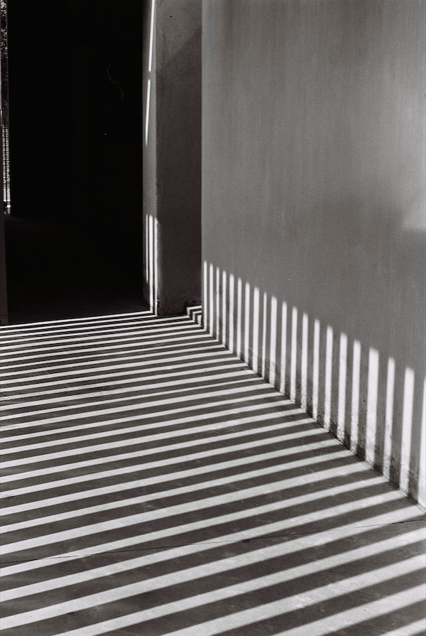 Christopher Shaw | PICDIT