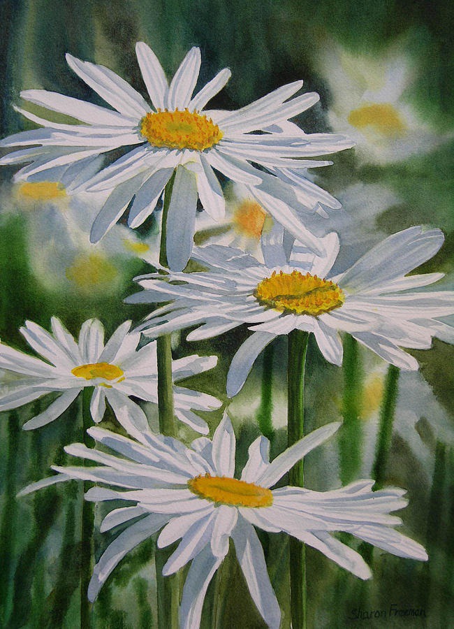 daisy painting & daisy paint by number #painting