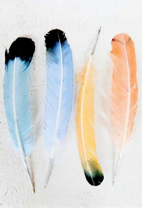 quills! http://www.designsponge.com/2011/08/diy project feather pen pal stationery.html