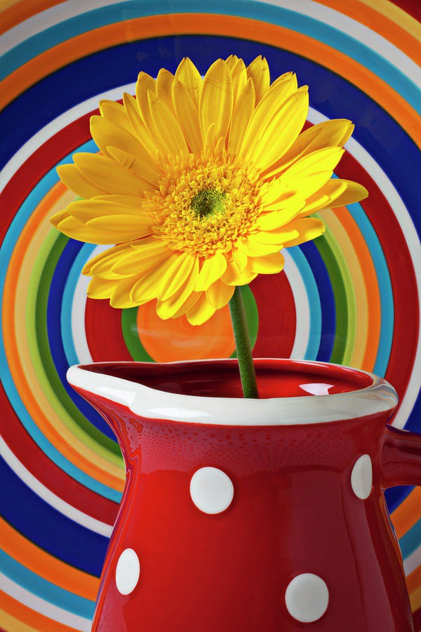 daisy painting & daisy paint by number #painting