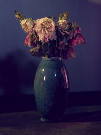 UNPUBLISHED #photo