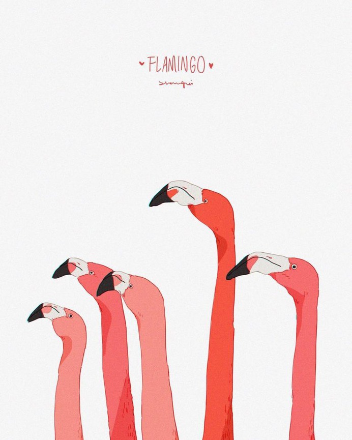 Flamingo