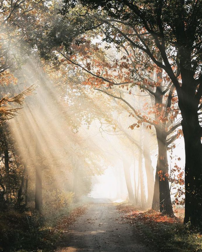 Ronald Jansen Captures the Beauty of Netherlands Through Stunning Landscapes