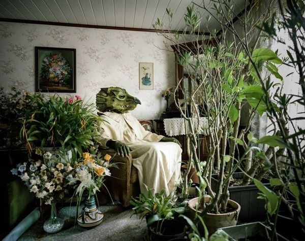 Klaus Pichler, favourite artist #plants #austria #pichler #photography #klaus #green