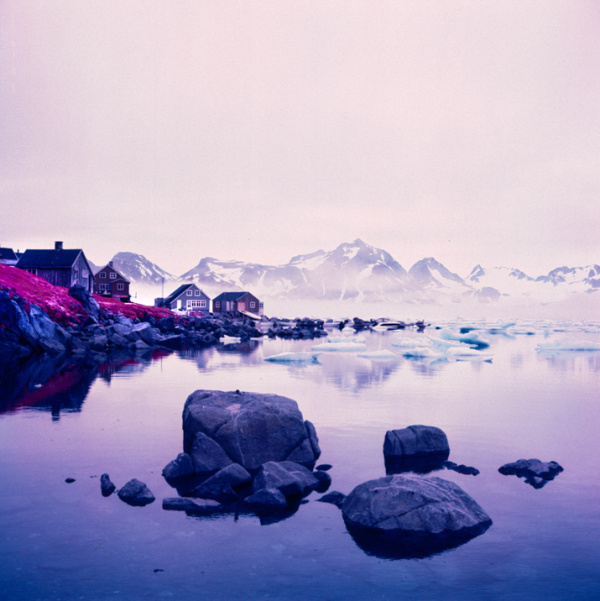 Daniel Zvereff | PICDIT