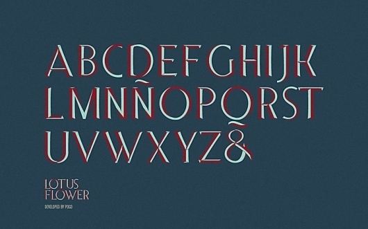 Lotus Flower, POGO | art & design boutique #type #design #typography