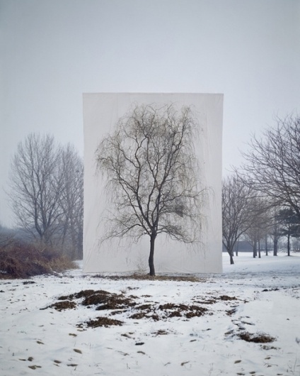 bakmaya değer. #tree #lee #snow #ho #scene #whiteness #myoung