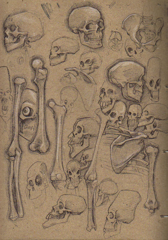 The Journal Portal #drw #illustration #skull