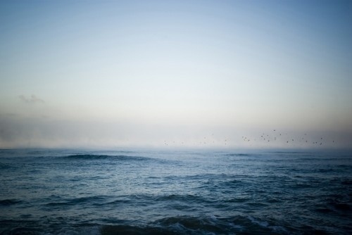 QUALITY PEOPLES | i see waves #photo #sea