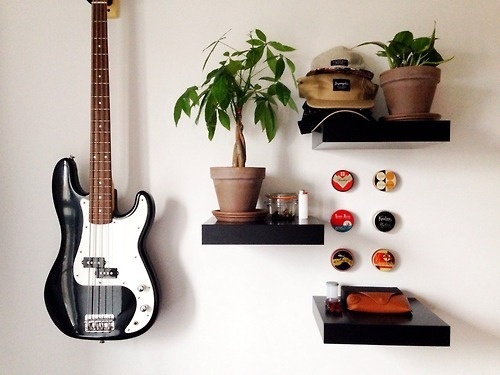 Money Tree #interior #bass #fender #tins #plants #tree #money #design #sunglasses #hats #typewriter