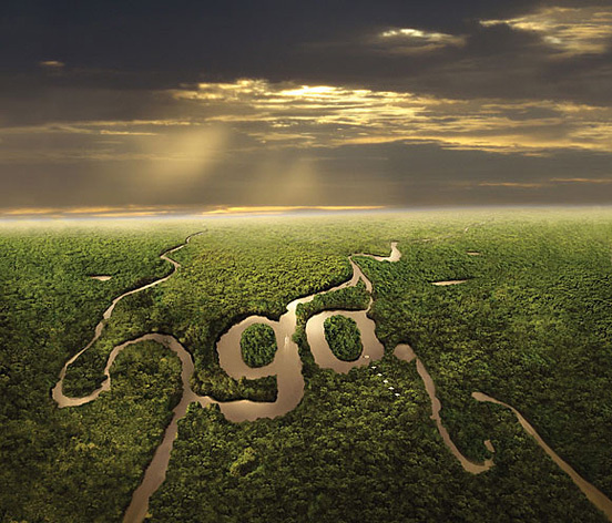 Go #type #image