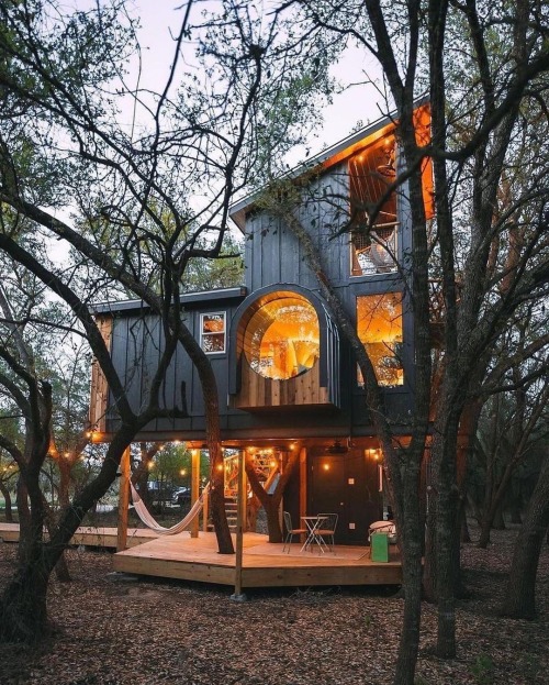 Live Oak Treehouse in Texas, USA. Designed by @honeytreefbg Photo by @levimkelly