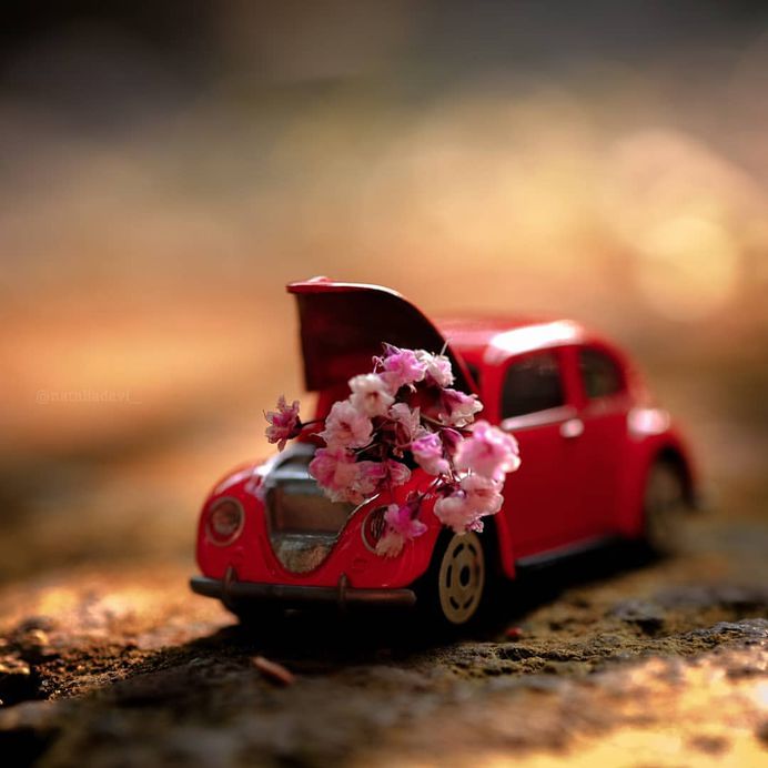 Macro Toy Models Photography by Devi Natalia Medora
