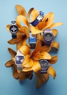 paper, flower, still life