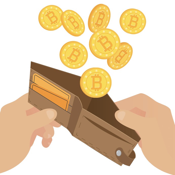 Bitcoin wallet coins