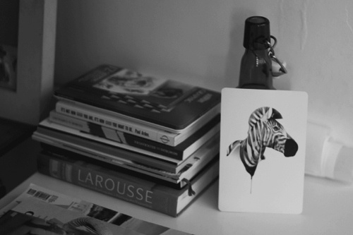 listras #print #esmeraldo #01 #photography #hellovon #zebra #marina