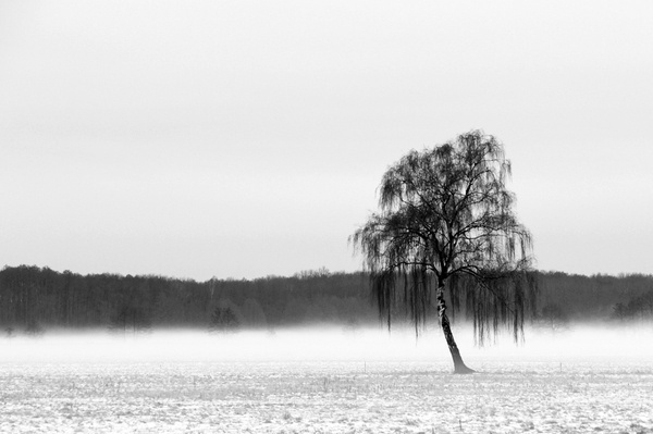 Cromoart dp_coldness 1 #minimal