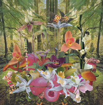 Monster Rally // Return to Paradise LP - Ted Feighan #collage