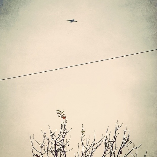 Reaching For Imperfection III on the Behance Network #grainy #imperfection #noa #photography #reaching #stain #joy #emberson