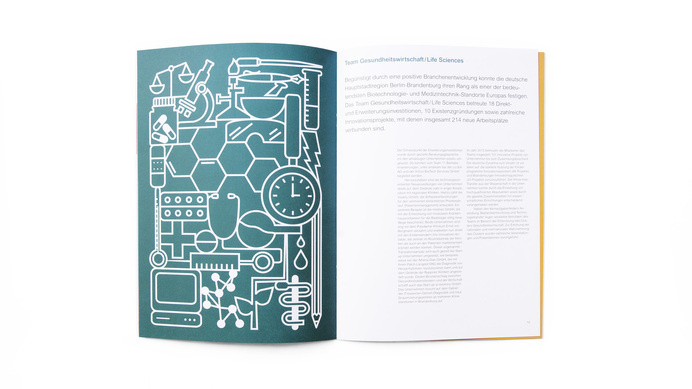 ZAB Annual Report 2013 | Thomas Manss & Company #annual #illustration #report #editorial #magazine