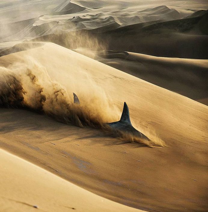 Dreamlike and Whimsical Photo Manipulations by Justin Main