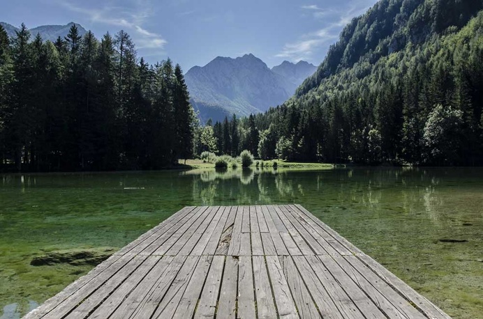 Nature Photography