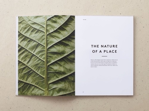 sketches & things / julestardy.com #1 #new #book #spread #tardy #brand #hotels #york #layout #mother #jules