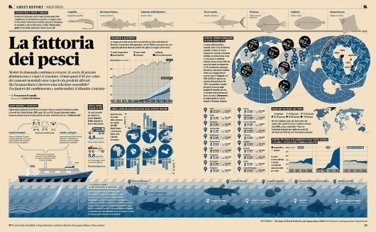 Infographic design idea #251: All sizes | La fattoria dei pesci | Flickr - Photo Sharing! #print #infographic #typography