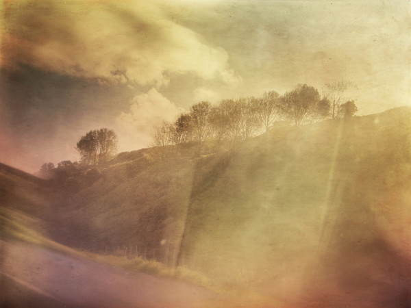 Foragepress.com | Cally Whitham #photography #vintage #landscape
