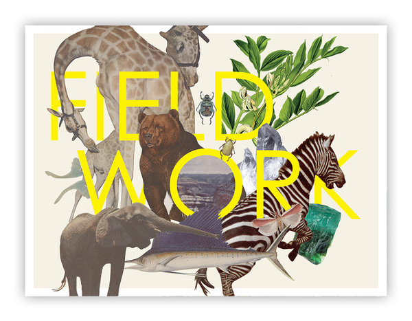 Field Work meganprycedesigns.com #work #field #museum #exhibition #signage #natural #typeface #poster #animals #futura #type #art #show #science #typography
