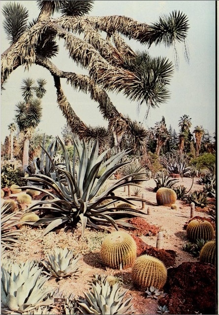 plant~