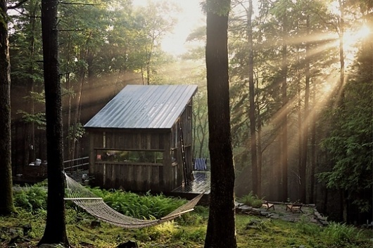 Kinfolk Magazine - Journal - BeaverÂ Brook #woods