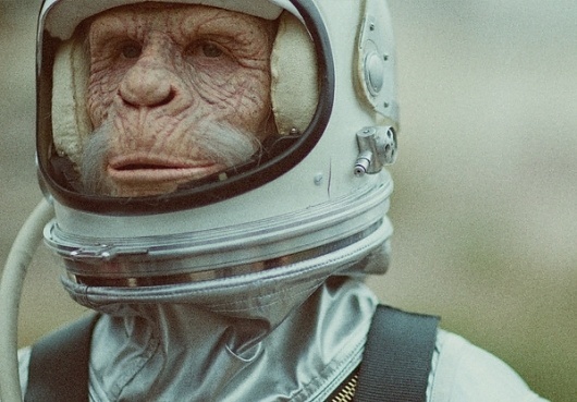 Ben Lee Music Video - WWF Space Monkey | 123 Inspiration #lee #space #monkey #music #wwf #universal #ben