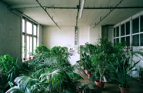107_allstockinstall #bio