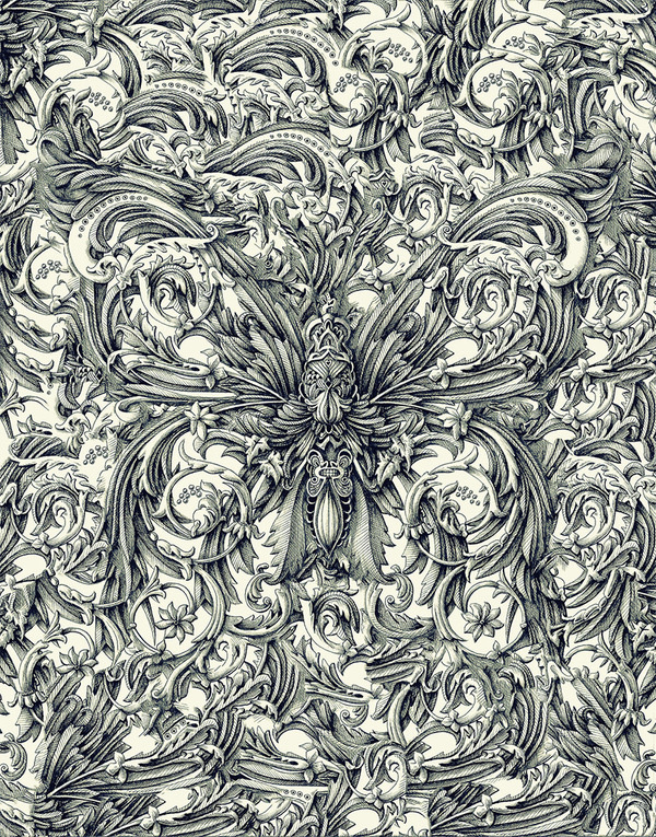 Hey, You Should Check Out the Colossal ShopNovember 29 #insect #illustration #detailed