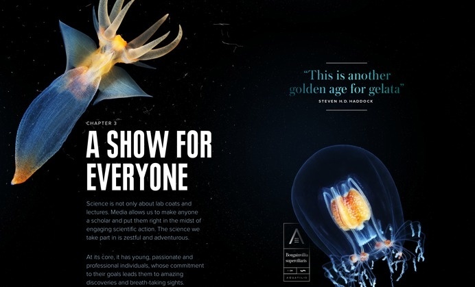 Layout from Aquatilis › PatternTap #layout