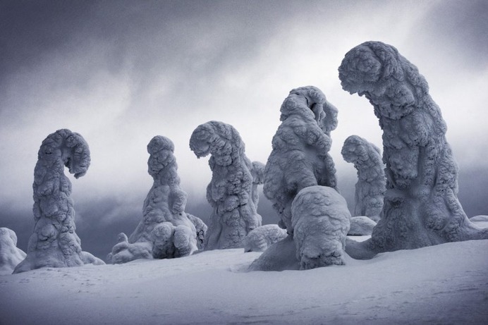 Frozen Giants by Ignacio Palacios